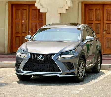 Gray Lexus NX 300 2018