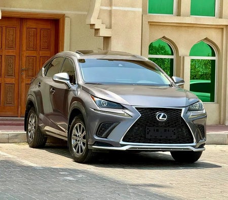 Gray Lexus NX 300 2018