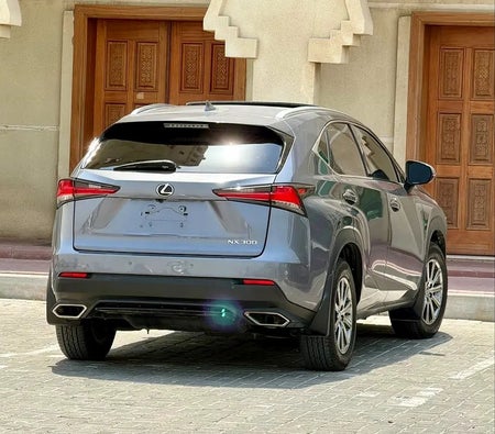 Gray Lexus NX 300 2018