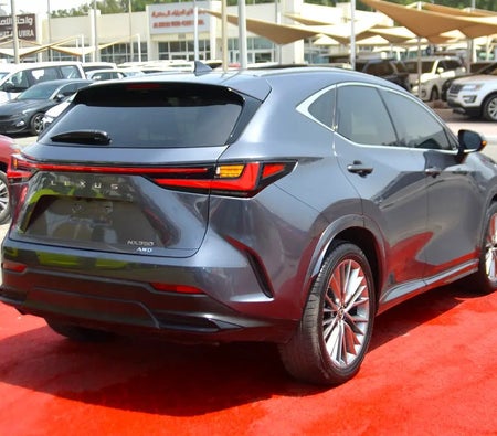 Серый Lexus NX350h 2024 год