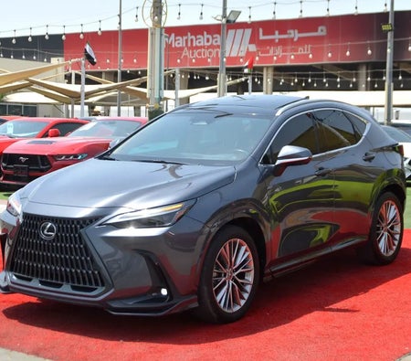 Lexus NX350h 2024, photo 3 of 4