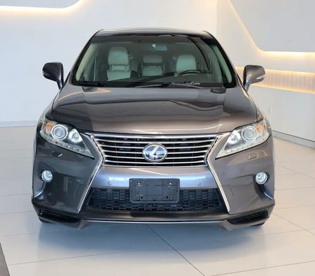 Gray Lexus RX 350 Platinum 2013