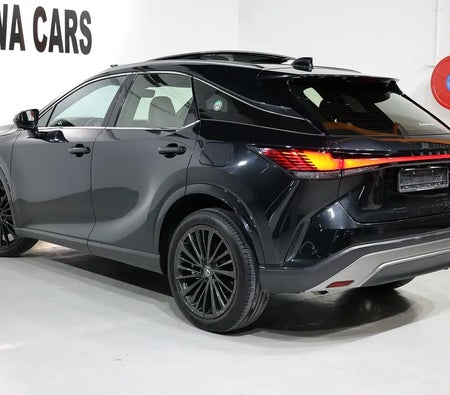 Lexus RX Series 2023, photo 4 of 4