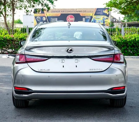 Grigio Lexus ES 300h 2024