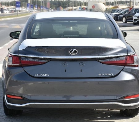 D'argento Lexus ES-Series 250 2023