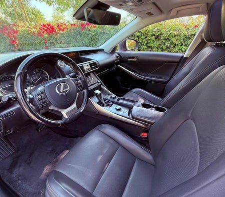 Gris Lexus IS 300 2020