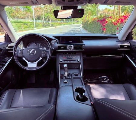 Gris Lexus IS 300 2020