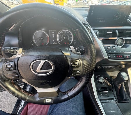Lexus NX 300 2018, photo 3 of 4
