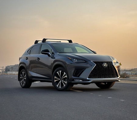Lexus NX 300 2021, photo 2 of 4