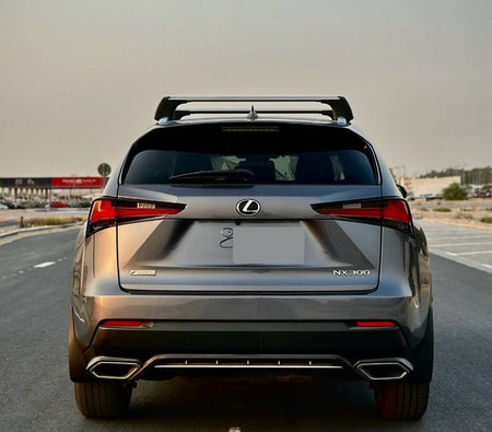 Lexus NX 300 2021, photo 4 of 4