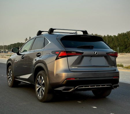Gray Lexus NX 300 2021