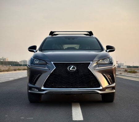 Lexus NX 300 2021, photo 3 of 4
