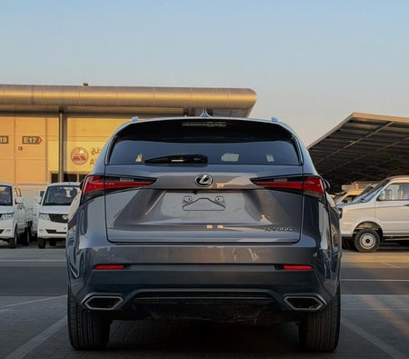 Gray Lexus NX 300 PREMIER 2021