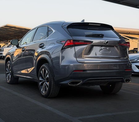 Lexus NX 300 PREMIER 2021, photo 4 of 4