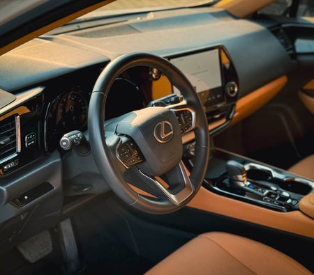 Lexus NX 300 2025