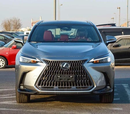 لكزس NX 350  2025, photo 2 of 4