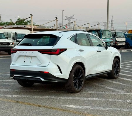 Weiß Lexus NX350h 2026 Weiß Lexus NX350h 2026