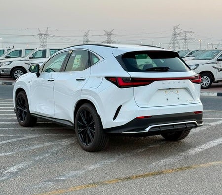 Lexus NX350h 2026, photo 4 of 4