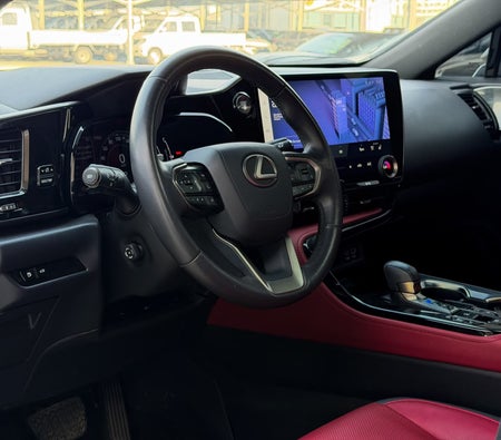 Lexus NX 350h Premier 2022, photo 4 of 4