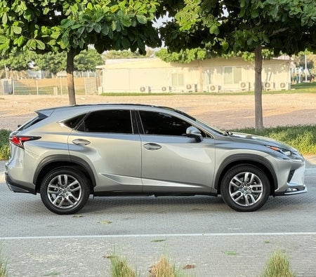 Lexus  NX 300 2020, photo 4 of 4