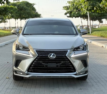 Lexus  NX 300 2020, photo 2 of 4