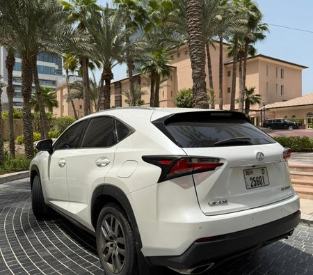 Lexus NX 250 2016, photo 4 of 4