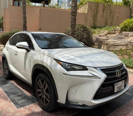 Lexus NX 250 2016, photo 2 of 4