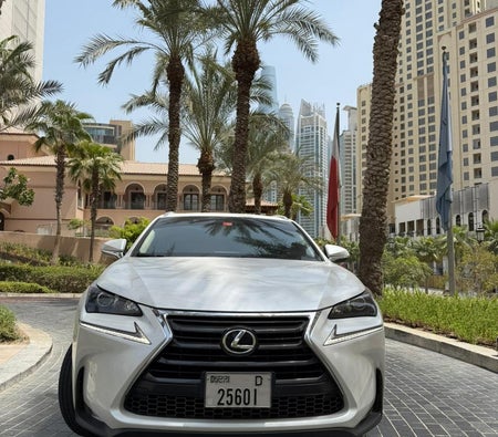 Lexus NX 250 2016, photo 3 of 4