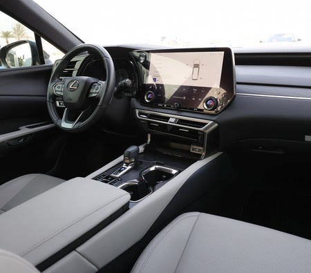 Lexus RX Series 2024