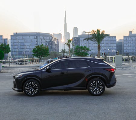 Lexus RX Series 2024