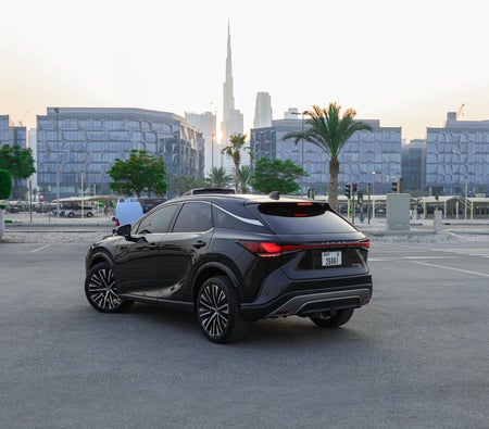 Lexus RX Series 2024