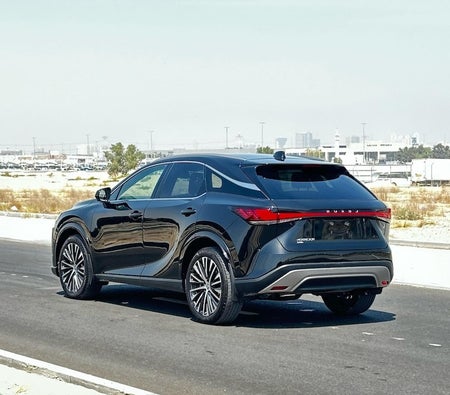 Lexus RX Series Prestige 2024, photo 3 of 4