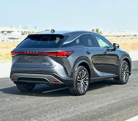Lexus RX Series Full Option 2024, photo 4 of 4