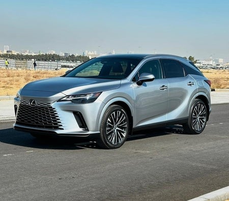 Lexus RX Series 2024, photo 3 of 4