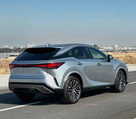 Lexus RX Series 2024, photo 4 of 4