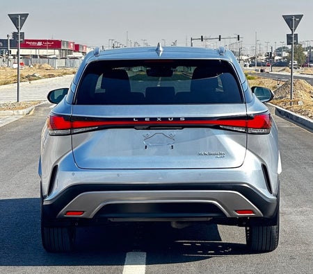 Серебро Lexus RX Series 2024 год