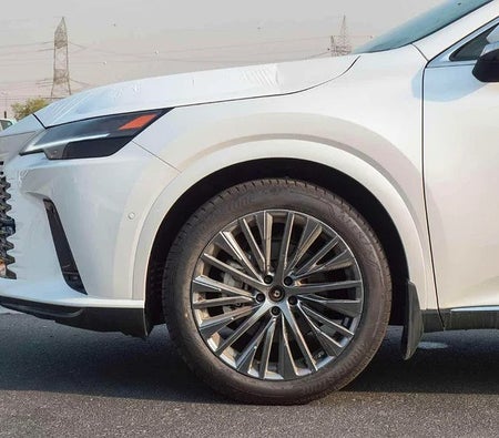 Lexus RX350  2025, photo 4 of 4