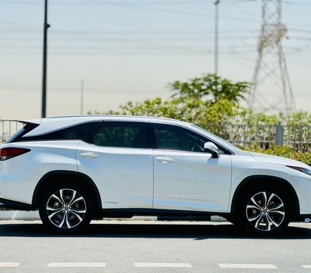 White Lexus RX450hL 2020