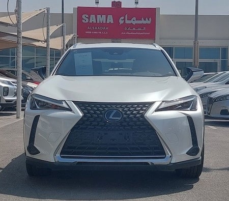 Lexus UX-Series UX 250 2019, photo 2 of 4