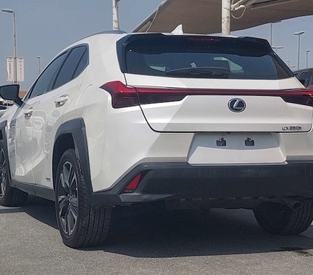 Lexus UX-Series UX 250 2019, photo 4 of 4