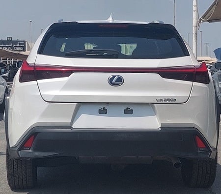 Lexus UX-Series UX 250 2019, photo 3 of 4