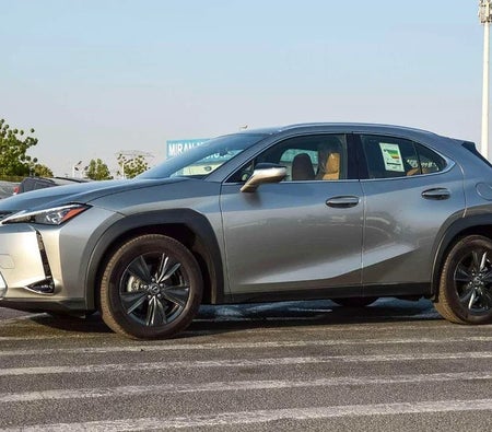 Lexus UX 300h 2024, photo 3 of 4