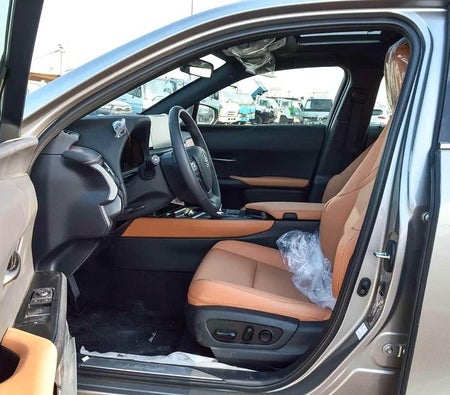 Grau Lexus UX 300h 2024