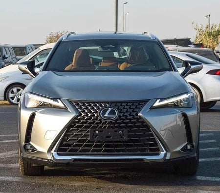 Lexus UX 300h 2024, photo 2 of 4