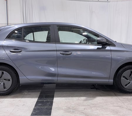 Grau MG 3 STD 2024 Grau MG 3 STD 2024