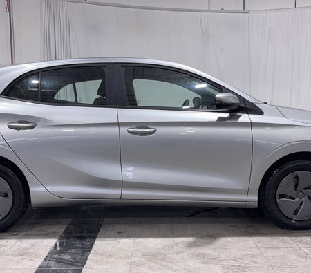 Silber MG 3 STD 2025 Silber MG 3 STD 2025