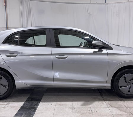 Silver MG 3 STD 2025
