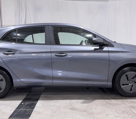 Gray MG 3 STD 2025