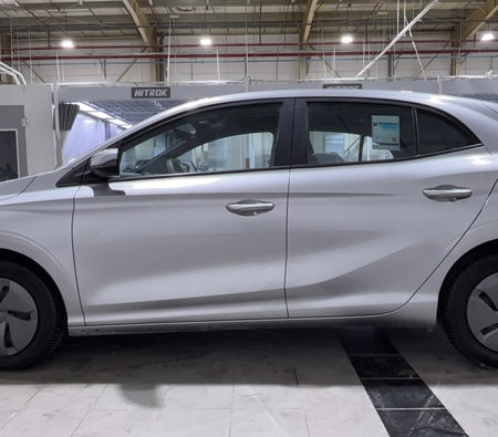 Gümüş MG 3 STD 2025