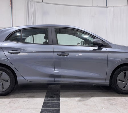 Gray MG 3 STD 2025